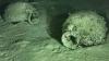 Offshore wind survey off Italy uncovers 2,400-year-old shipwreck loaded with 300 amphorae