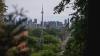 Gunfire shatters Toronto Latin street festival, leaving at least 2 dead and multiple wounded