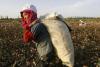 Sri Lanka Moves to Block Forced Labour Imports After US Trade Penalty
