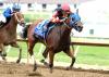 Maximum Offer Gate To Wire In Indiana Oaks