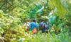 Why seychelles is more than just a honeymoon destination