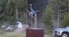 YIKES! Bison at Yellowstone National Park Sends Man Flying Through the Air With Headbutt (VIDEO)