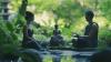In South Korea, Buddhist monks are organizing retreats for single people to meet.