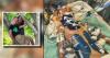6-year-old Bellingham boy hospitalized after beach driftwood accident