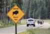 Watch: Bison Hurls Man 8 Feet High in Yellowstone Campground