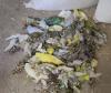Parakeet supplier to East Dundee business cited for violations