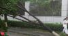 Typhoon Bavi batters east China; Taiwan reports 134 injured