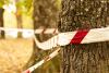 Human Remains Scavenged by Bear on Grand Mesa in Colorado