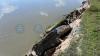 Riverbank erosion poses bigger threat than floods in Assam: Central team