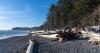 Everyone Always Goes to Ruby Beach in Washington: Go Here Instead
