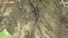 Municipalities in Japan step up measures against invasive beetle species
