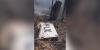 WALB EXCLUSIVE: 16-year-old was on plane that killed 10 in the Bahamas, reporter says