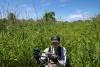 Scientists team up in ‘unparalleled’ effort to protect Illinois’ endangered turtles from increasing threats