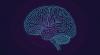 China’s booming biotech, from a brain implant to drug discovery