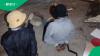 2 men arrested after human organs found in buckets at Soweto property