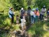 PEEC Outing: Explore Local Pollinators On Guided Butterfly Walk On Pajarito Mountain With Ecologist Simone Lord