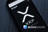 Ripple Lawyers Once Told Executives to Walk Away From the Company