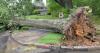 Philadelphia thunderstorm damage: Falling trees crush cars, winds rip off roofs, knock down trees