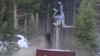 Terrifying moment raging bison suddenly charges at grandfather & flips him 8ft into the air at Yellowstone National Park