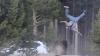 Shocking moment tourist is hurled eight feet into the air by rampaging bison at Yellowstone National Park