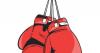 Lawmakers promote boxing for Parkinson’s