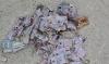 Hundreds of Romanian driver’s licenses were found among the trash at a landfill in Moldova