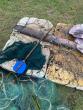 Ballito Pro launches 'Stop the Strangle' campaign to combat ghost gear pollution