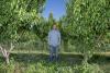 With their fruit crops obliterated by freeze, these Colorado growers are forced to flex their business muscles to survive