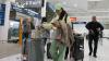 Massive change for Aussie travellers