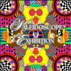 Kaleidoscope Exhibition now showing at the Museum of Special Art in Perrinville Village - reception July 17, 2026