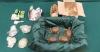 Hong Kong Customs Seizes Endangered Turtles Worth $40,000 at Airport