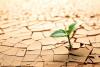 Drought preparedness holds the key to Zim's agricultural future