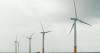 Labour slammed as offshore wind snub shows 'mishandling' of Scottish energy jackpot