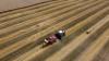 Trevor Hancock: National food security? Not without natural security