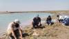 Environment Department successfully plants 450 mangrove seedlings in Shinas
