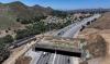 Southern California becoming a hub for wildlife crossings
