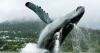 Photowalks: Juneau, Alaska Pt. 1