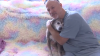 Maryland dog reunited with owner in Pompano Beach after being found hundreds of miles away from home