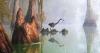 Photographer Andy Crawford's new book makes the case for Louisiana's swamps