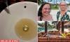'I thought I was going to die at Club Med': Grandmother's horror after brown 'sewage' water at luxury resort made her so sick she needed an IV drip - and a hotel manager's unbelievable response