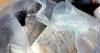 Oswego Presbyterian Church to collect Styrofoam for recycling