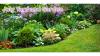 July Yard and Garden Tips