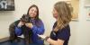 Nebraska Humane Society: Vets urge pet vaccines as wildlife contact rises