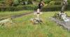 New memorial unveiled to German soldier shot down over Somerset in World War Two