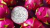 Where Is The Dragon Fruit Capital Of The World?