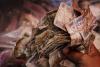 Worn Banknotes Flood Balkh Markets, Disrupting Daily Trade