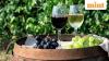 Why you should try Montenegro's rare white wine