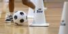 Boys & Girls Club kids get once-in-a-lifetime World Cup surprise in Kansas City