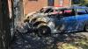 Cars set alight in arson attacks