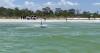 Small plane makes emergency water landing near Honeymoon Island State Park: DFR